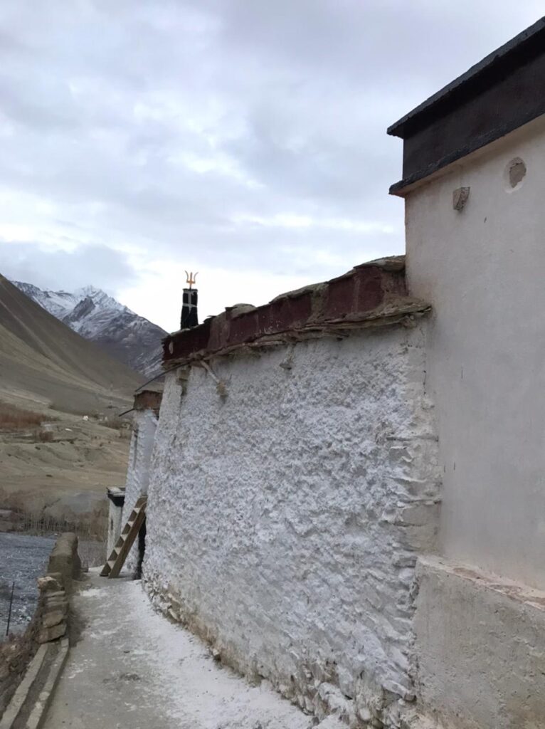 WhatsApp Image 2024-02-20 at 4.54.37 PM